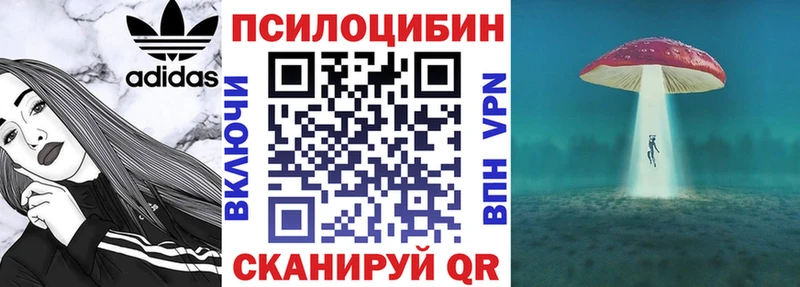 мега сайт  купить наркотик  Петровск  Галлюциногенные грибы ЛСД 